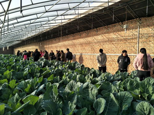 助推北京農(nóng)業(yè)信息化發(fā)展，奧科美獲北京市農(nóng)產(chǎn)品產(chǎn)銷信息協(xié)會(huì)表彰